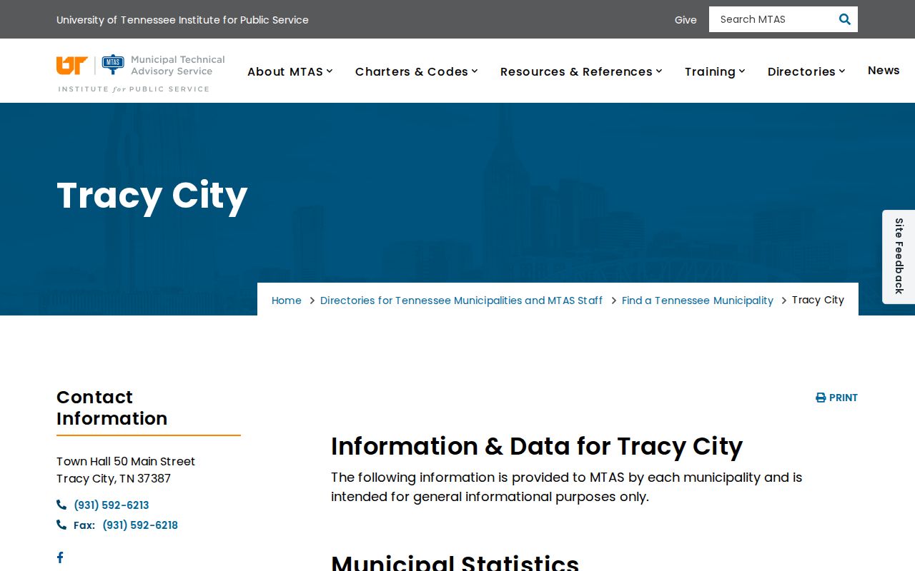 MTAS Tracy City court docket profile